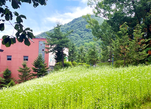 여름休, \