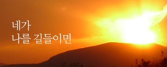 네가 나를 길들이면