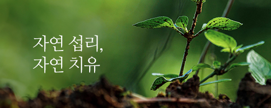 자연 섭리, 자연 치유