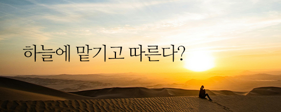 하늘에 맡기고 따른다?