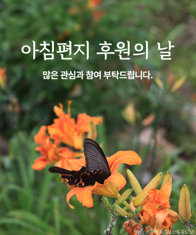 오늘은 \