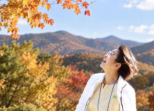 숲멍 하루명상 | 숲에서 천천히 쉬어가는 하루